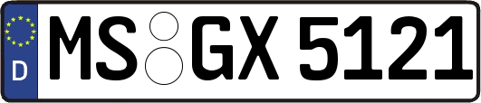 MS-GX5121