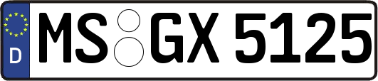 MS-GX5125