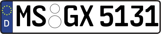 MS-GX5131