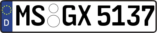 MS-GX5137