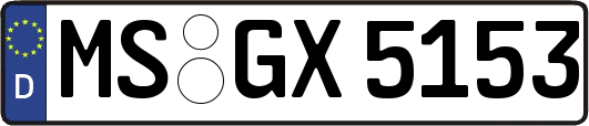 MS-GX5153