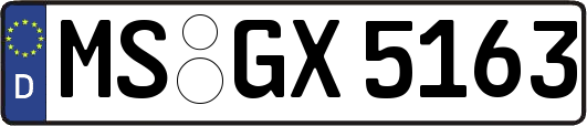 MS-GX5163