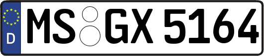 MS-GX5164