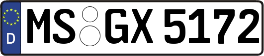 MS-GX5172