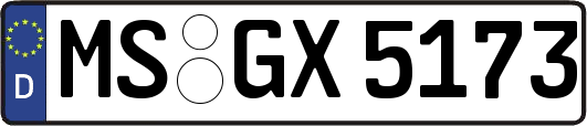MS-GX5173