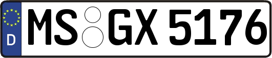 MS-GX5176