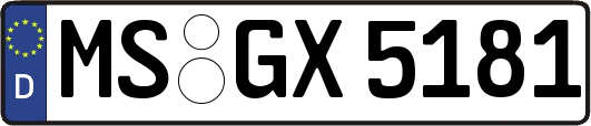 MS-GX5181