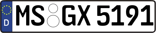 MS-GX5191