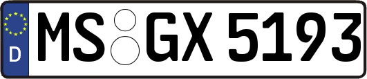 MS-GX5193