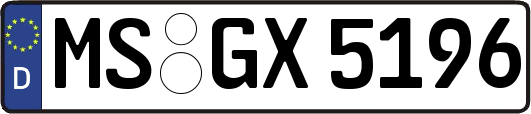 MS-GX5196