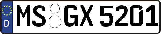 MS-GX5201
