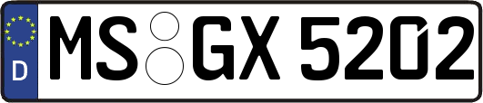 MS-GX5202