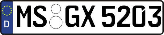 MS-GX5203