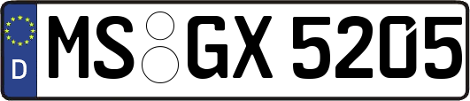 MS-GX5205