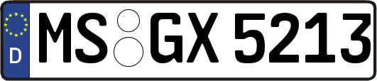 MS-GX5213