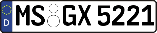 MS-GX5221