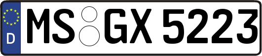 MS-GX5223