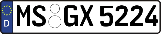 MS-GX5224