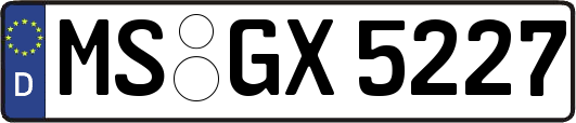 MS-GX5227