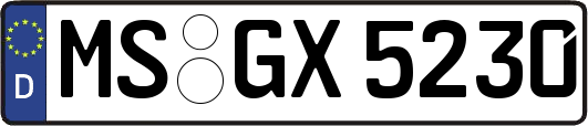 MS-GX5230