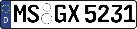 MS-GX5231