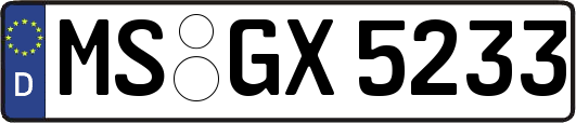 MS-GX5233