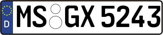 MS-GX5243