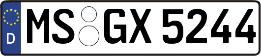 MS-GX5244