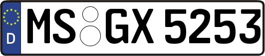 MS-GX5253