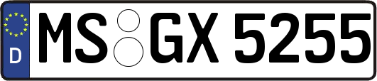 MS-GX5255