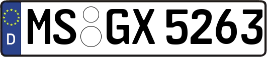 MS-GX5263