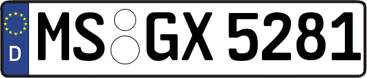 MS-GX5281