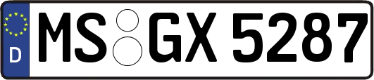 MS-GX5287