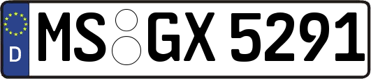 MS-GX5291
