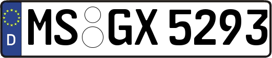 MS-GX5293