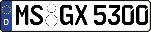 MS-GX5300