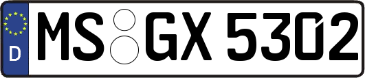 MS-GX5302