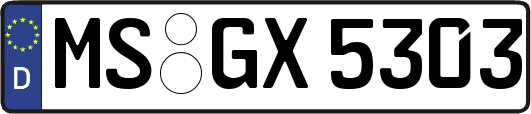 MS-GX5303