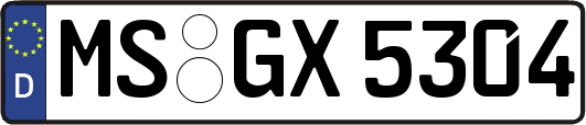 MS-GX5304