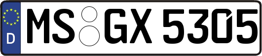 MS-GX5305