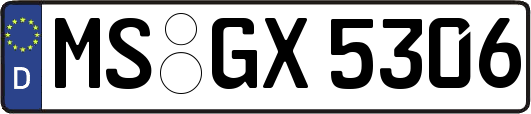 MS-GX5306