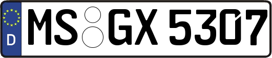 MS-GX5307