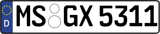 MS-GX5311