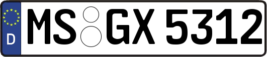 MS-GX5312