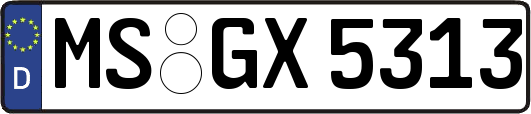 MS-GX5313