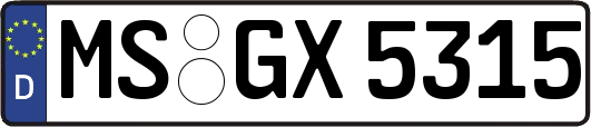 MS-GX5315