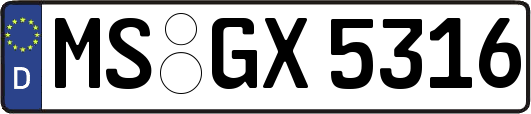 MS-GX5316
