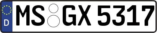 MS-GX5317