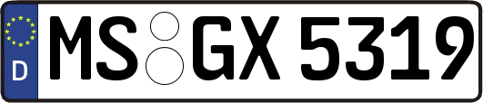 MS-GX5319