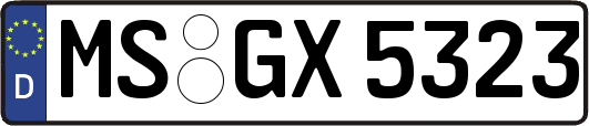 MS-GX5323
